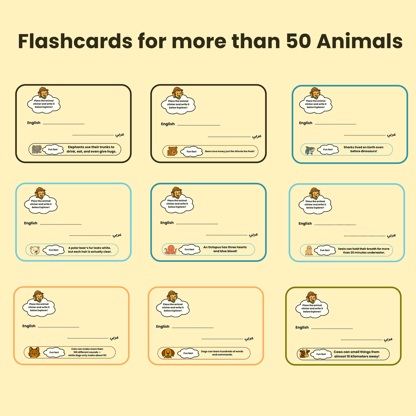 Dunins Animal Cards