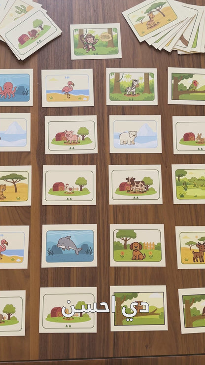 Dunins Animal Cards